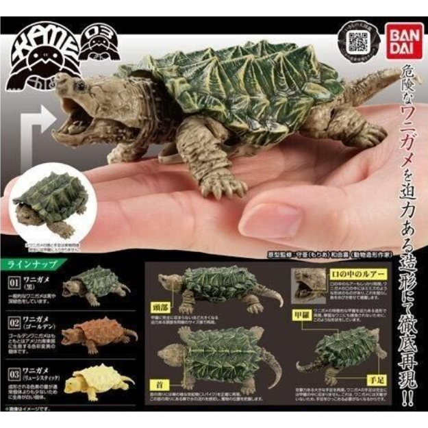 Bandai Turtle 03 Miniature figure Gashapon | Shopee Philippines