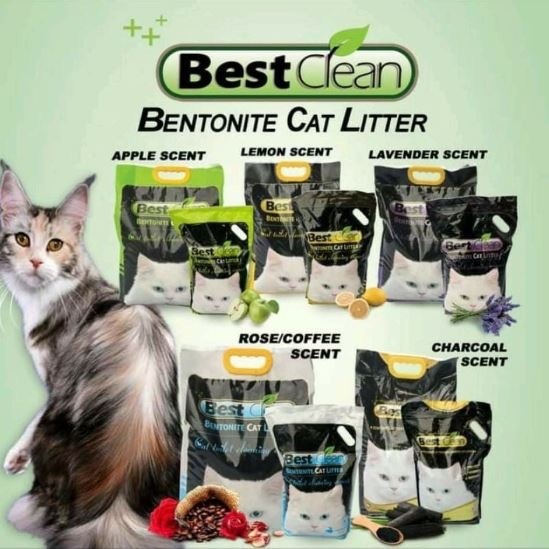 Best litter sand sales