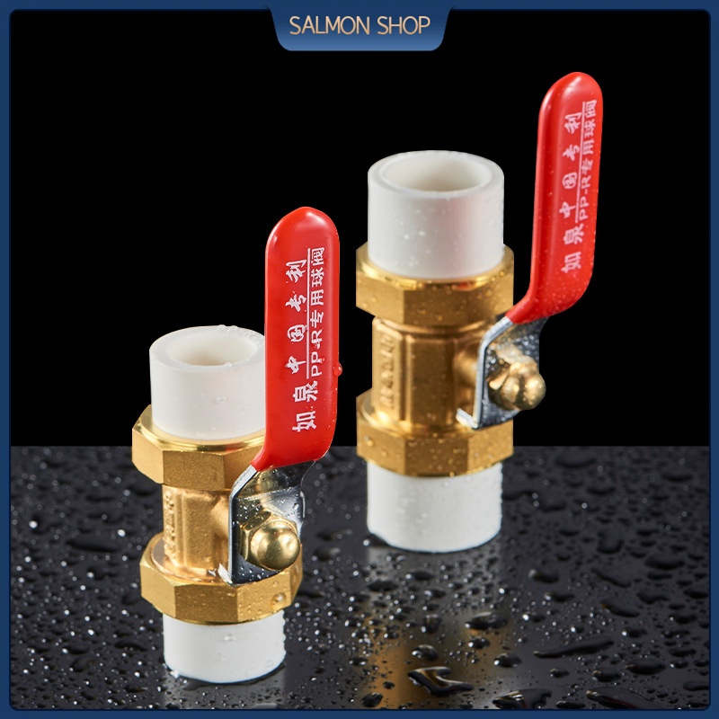 3/4" 1" 1.2" PPR Gate Valve Double Union Valve One Way Valve Water Pipe