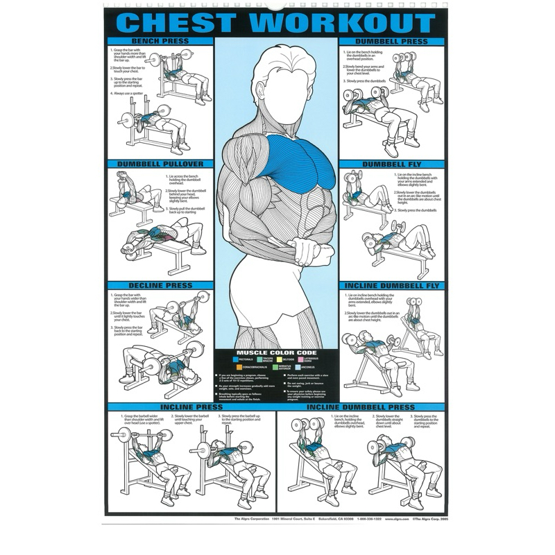 gym muscle core training exercise chart poster print wall decor ...