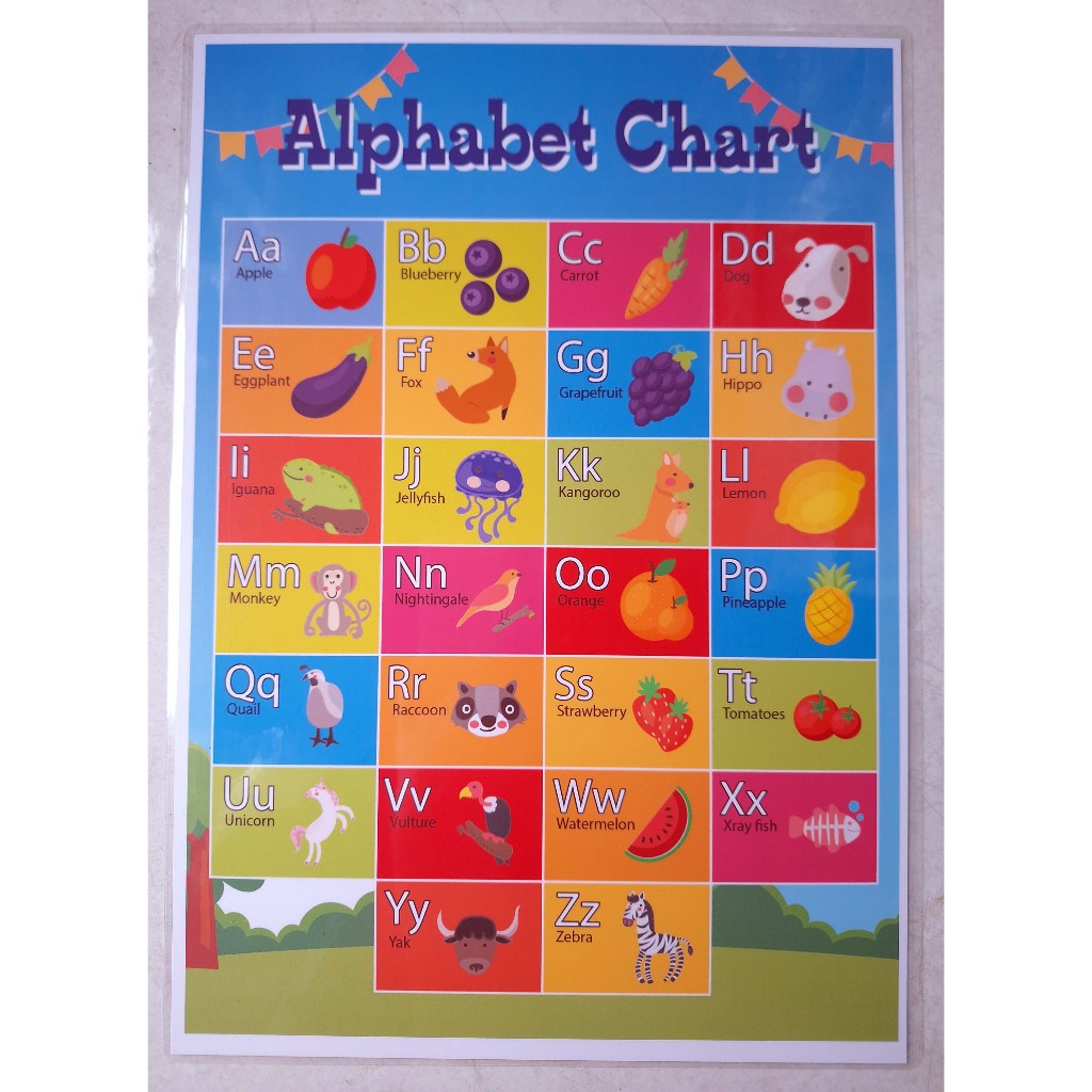 Anyong Lupa A4 Laminated Educational Charts for Students Philippine ...