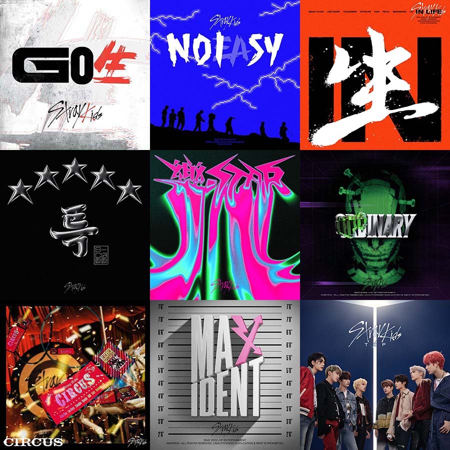 Stray Kids Korean Japanese Mini Album Covers Vinyl Style UV Print 