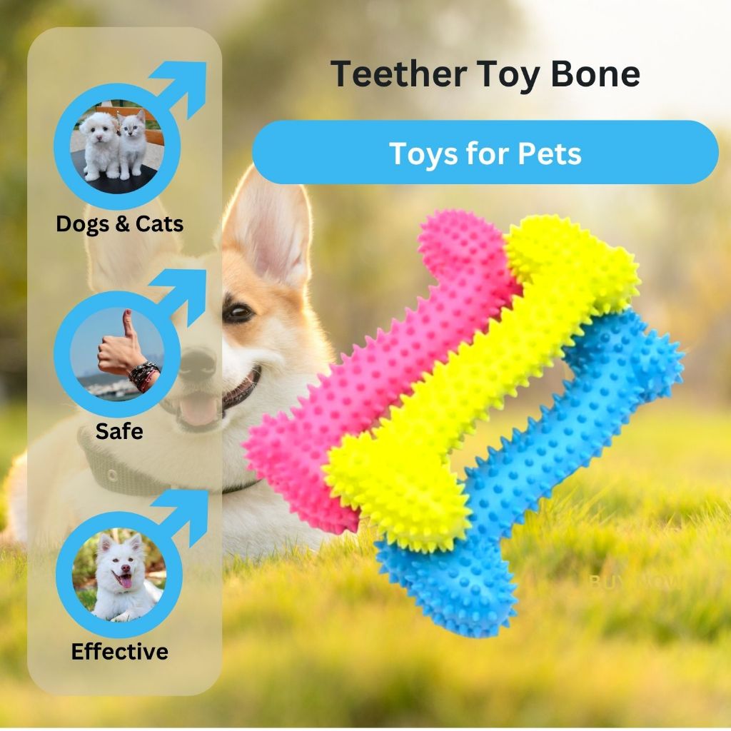 TEETHER Toy Bone for Dogs and Cats | Shopee Philippines