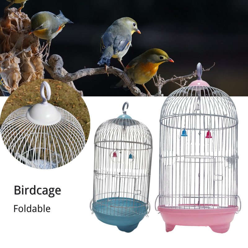 Ph bird cheap cage