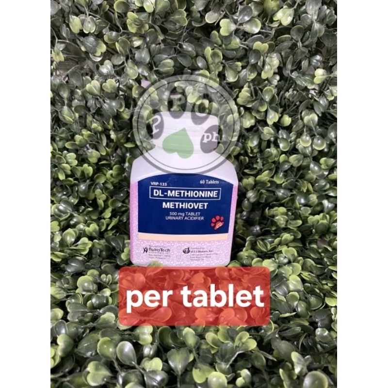 Photo inspiration: Picture Idea: Methiovet Tablet Urinary Acidifier 500Mg For Cats And Dogs