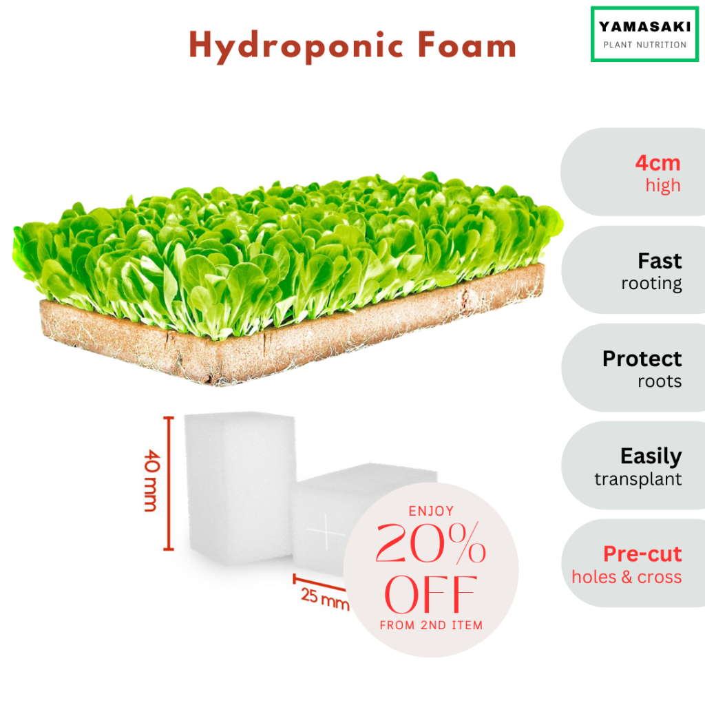 005 FV 4cm High Hydroponic Foam 100 Cube hydroponic sponge foam for