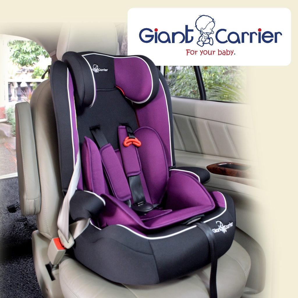 Giant carrier 2024 car seat