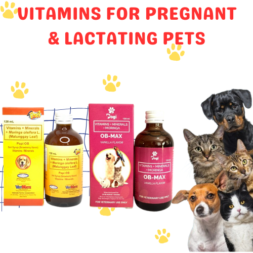 Vitamins for pregnant outlet dog philippines