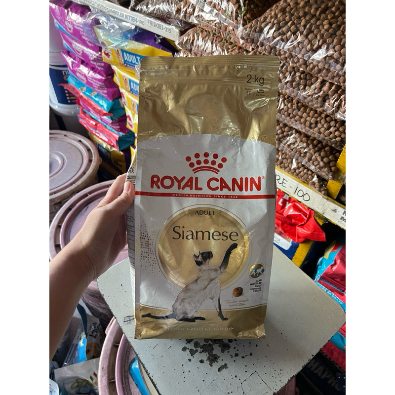 Royal canin siamese outlet adult