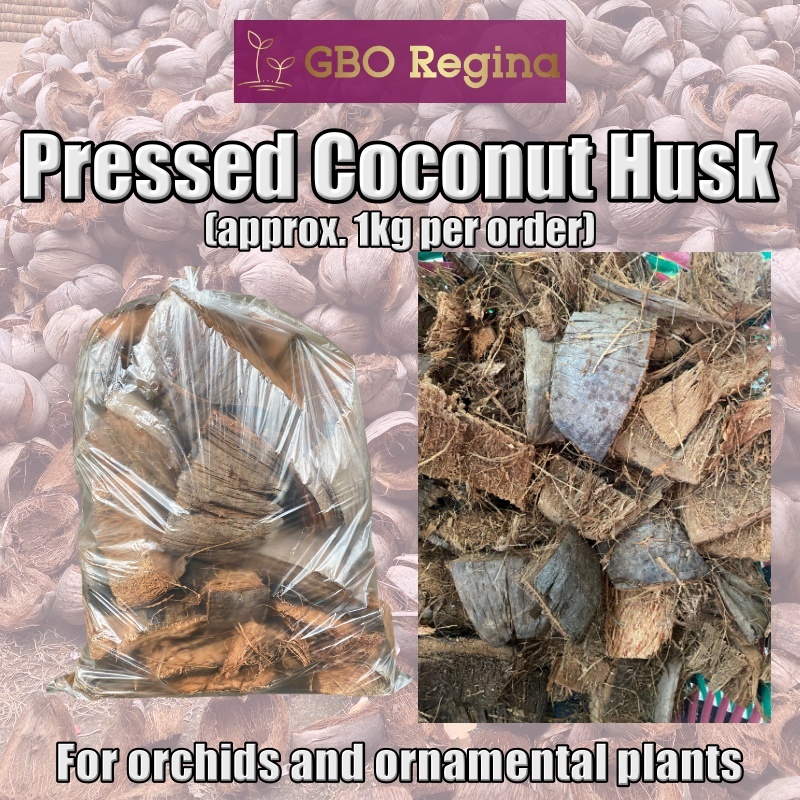 GBO Regina - Garden Supplies: Pressed Coconut Husk / Bunot (approx. 1kg ...