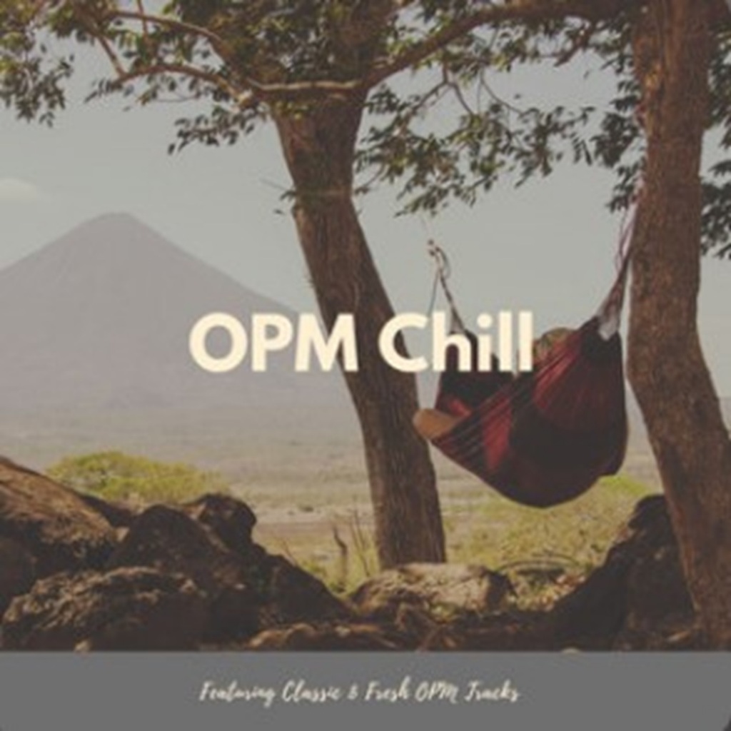 Opm Chill Songs 2024 225tracks 192kbps Mp3 Music Cd Shopee Philippines