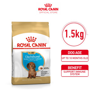 Best dog food for dachshund sale puppy philippines