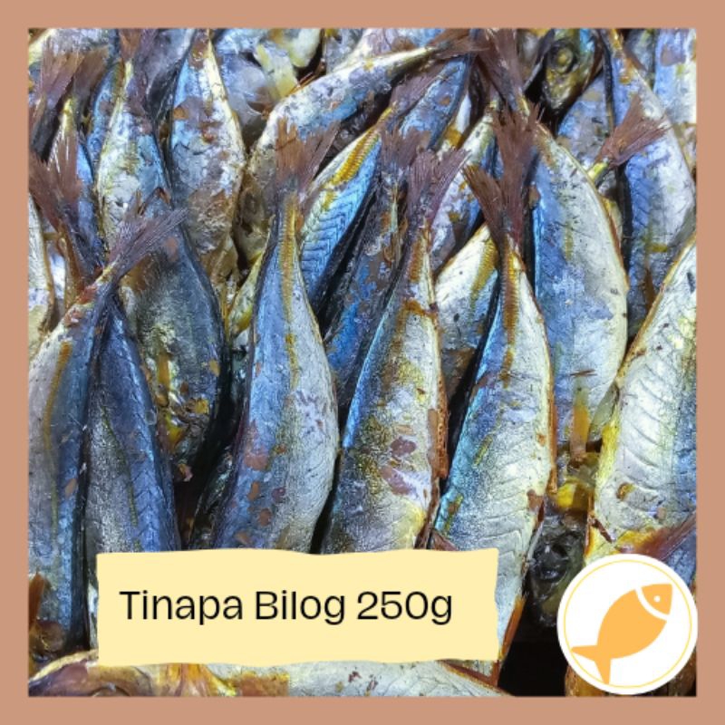 Tinapa Bilog Galunggong smoked fish dried fish from Bicol vacuum sealed ...