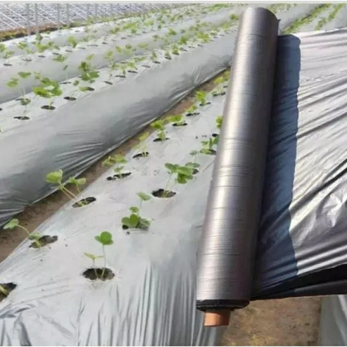 【COD】Plastic mulch PE silver black plastic mulch Garden mulch film ...