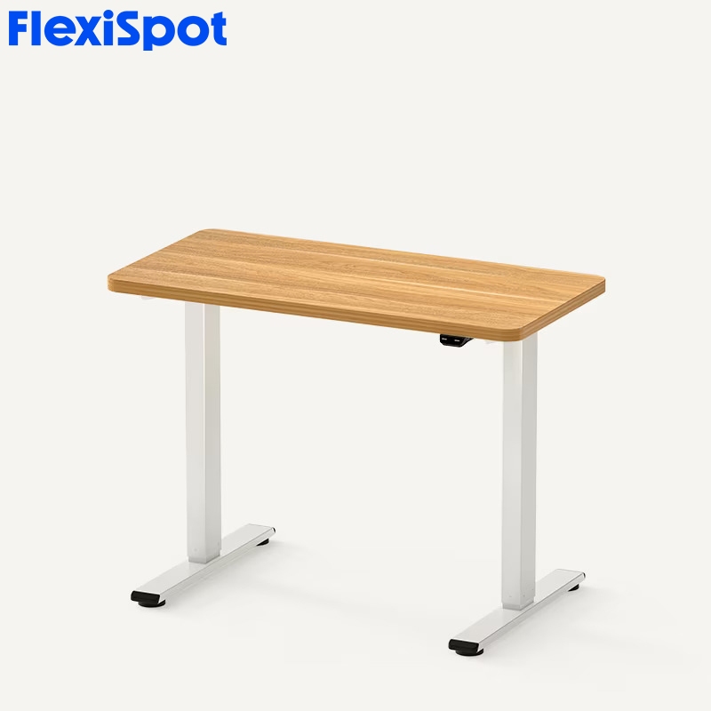 FlexiSpot E2 Standing Desk Height Adjustable Table Single Motor ...