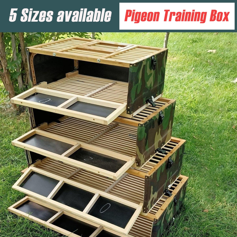 Taiwan Training Box for Pigeon Medium Pigeon Foldable Training Box Wood
