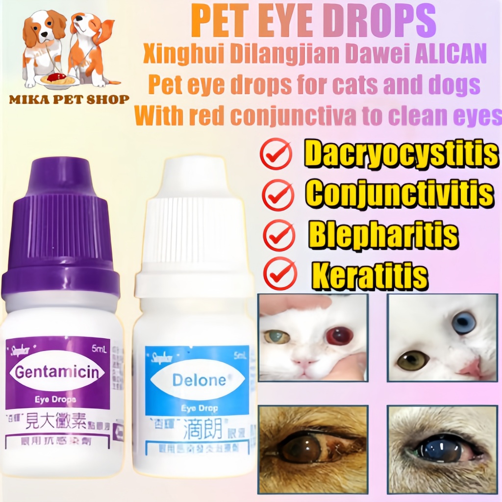 Gentamicin Pet Eye Drops Cat And Dog Eye Drops For Dogs Infection