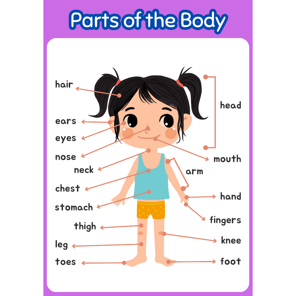 A4 Laminated Poster for kids Educational Learning Material Borderless ...