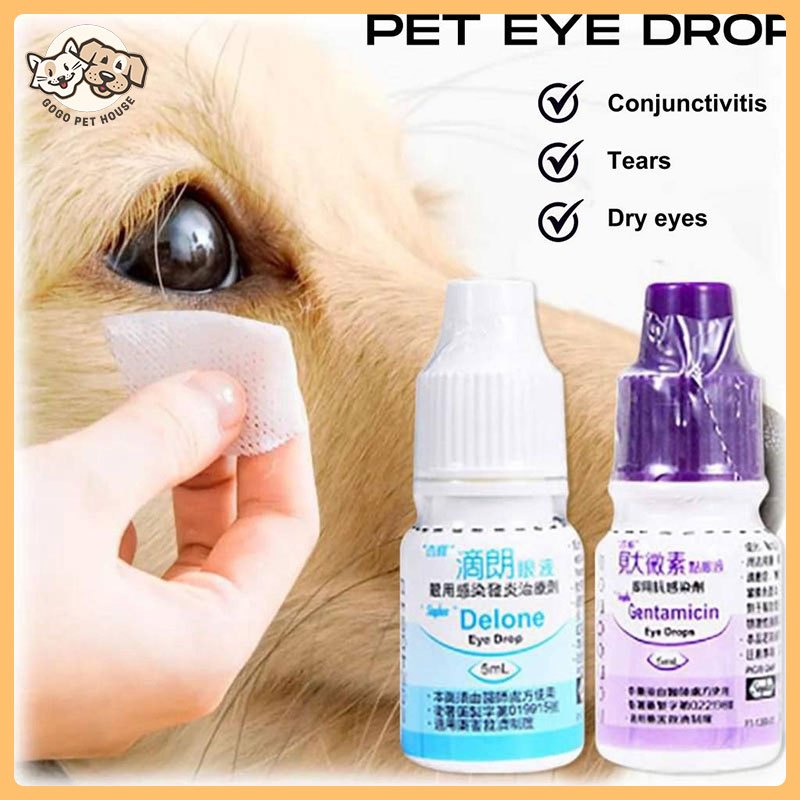 Sinphar Gentamicin Eye Drops Dogs Infection Removes Tear Stains and