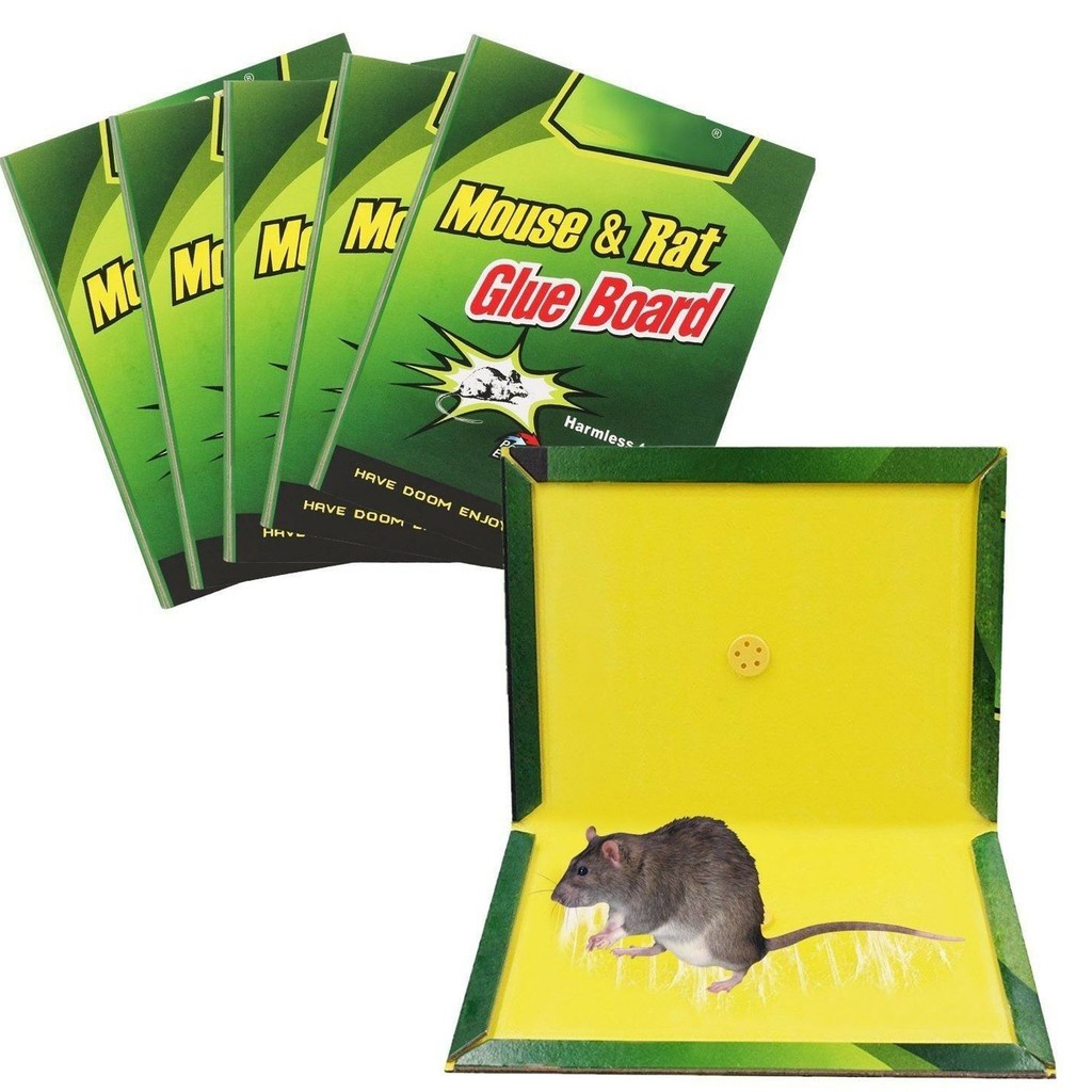 Mouse trap/Rodent expert/Rat Glue snare/sticker mice board | Shopee ...