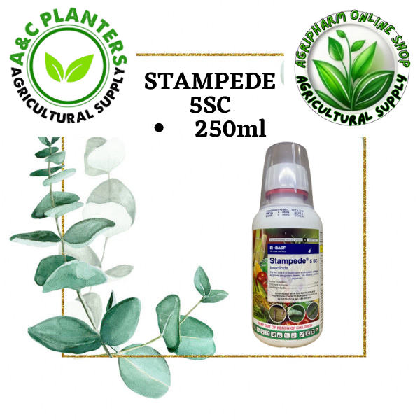 STAMPEDE 5SC Insecticide (250ml) | Shopee Philippines
