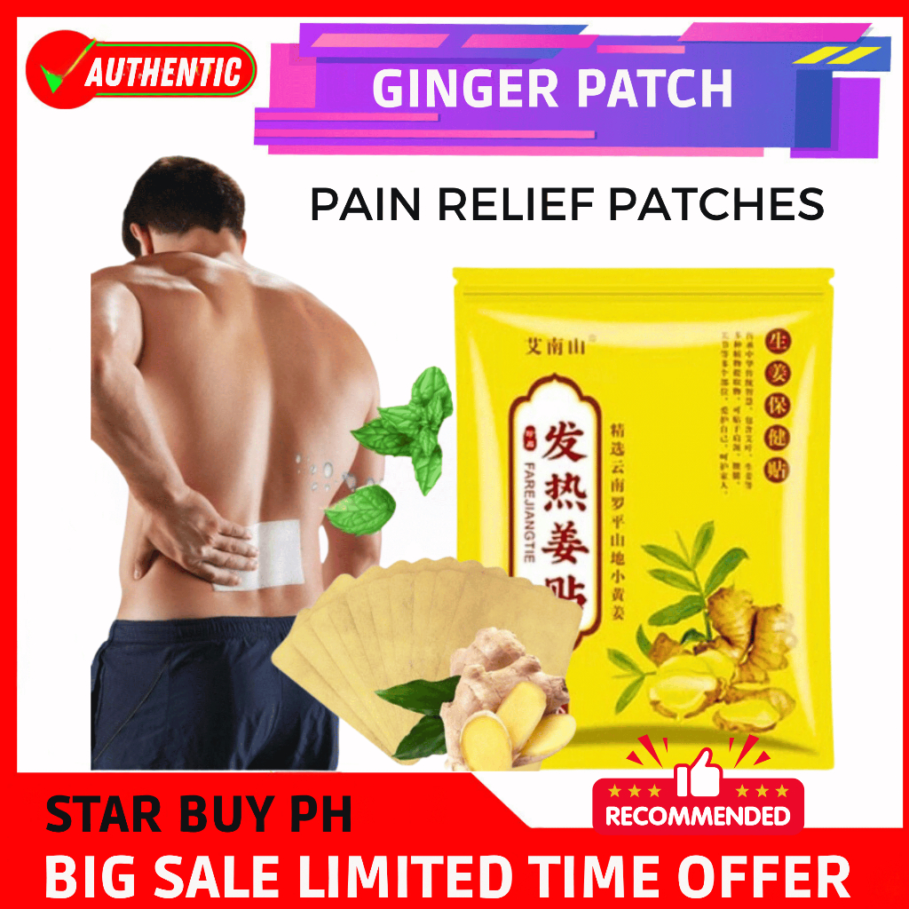 Ginger Patch 80 Pcs Herbal Ginger Patch for Pain Relief Salonpas