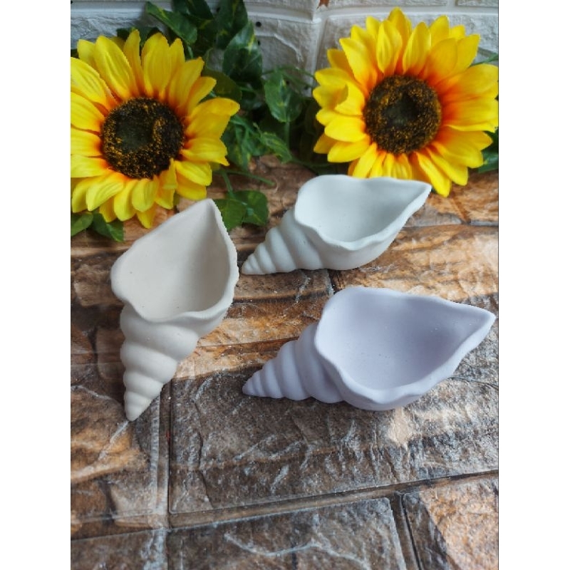 Large Pointed conch shell pot, jewelry organizer or desk organizer ...