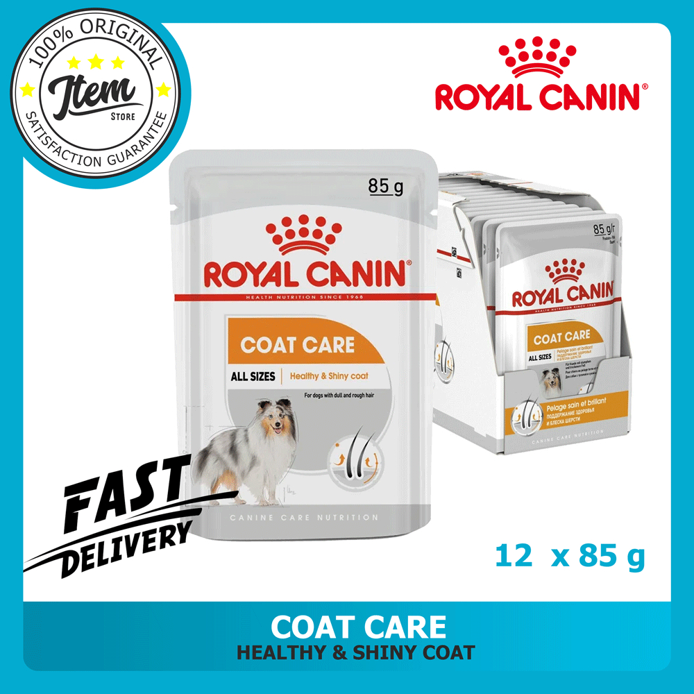 ROYAL CANIN COAT CARE DOG WET FOOD 85GX12 Shopee Philippines