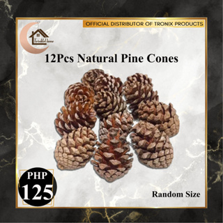 20Pcs Fake Pine Cone Innovative Convenient Mini DIY Realistic Fake Pinecone  Artificial Pine Cone for Indoor