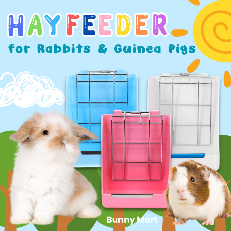 Hay Feeder/Dispenser for Rabbits & Guinea Pigs 3 Colors Variety (Cream