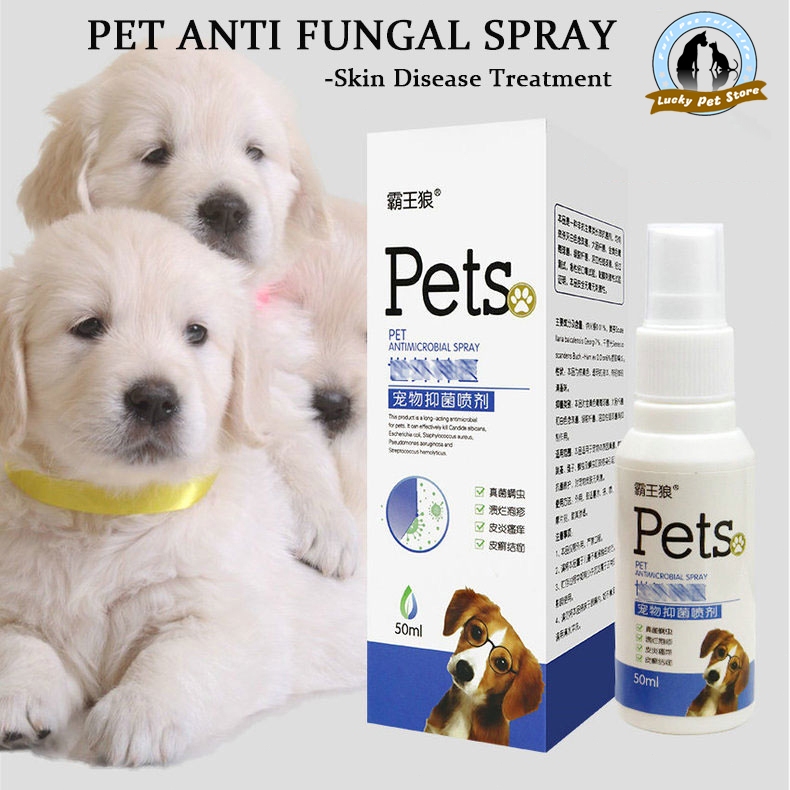 Pet Anti fungal SprayPet Skin Treatment for dogs Dog Skin Disease ...