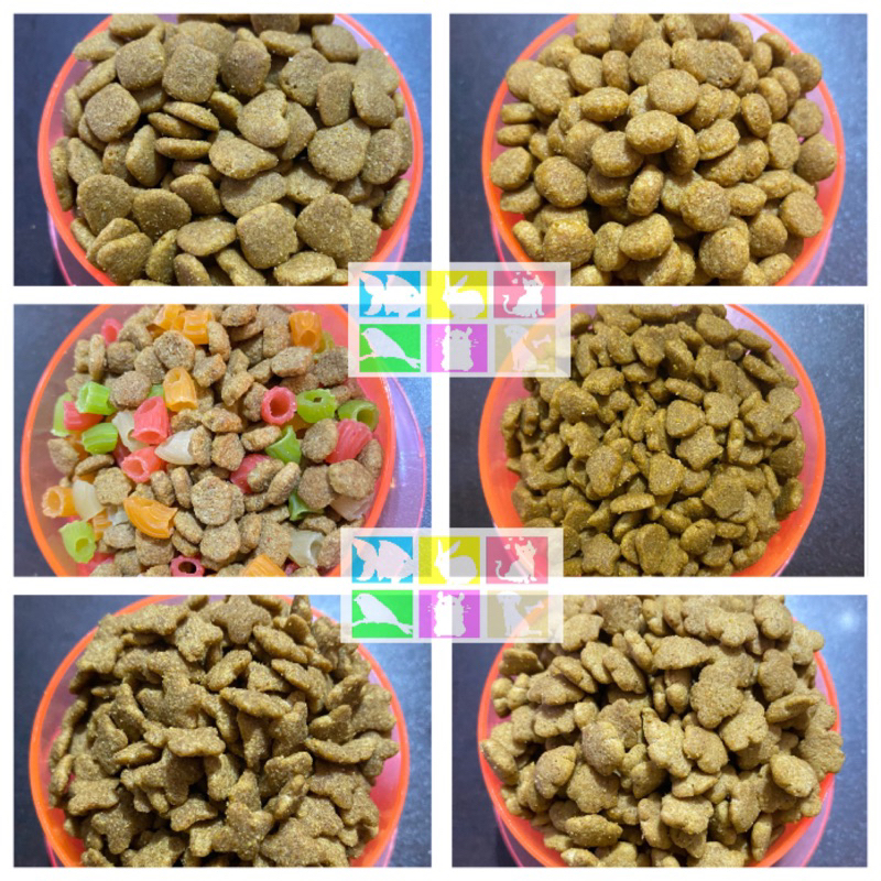 Types of hotsell hamster food