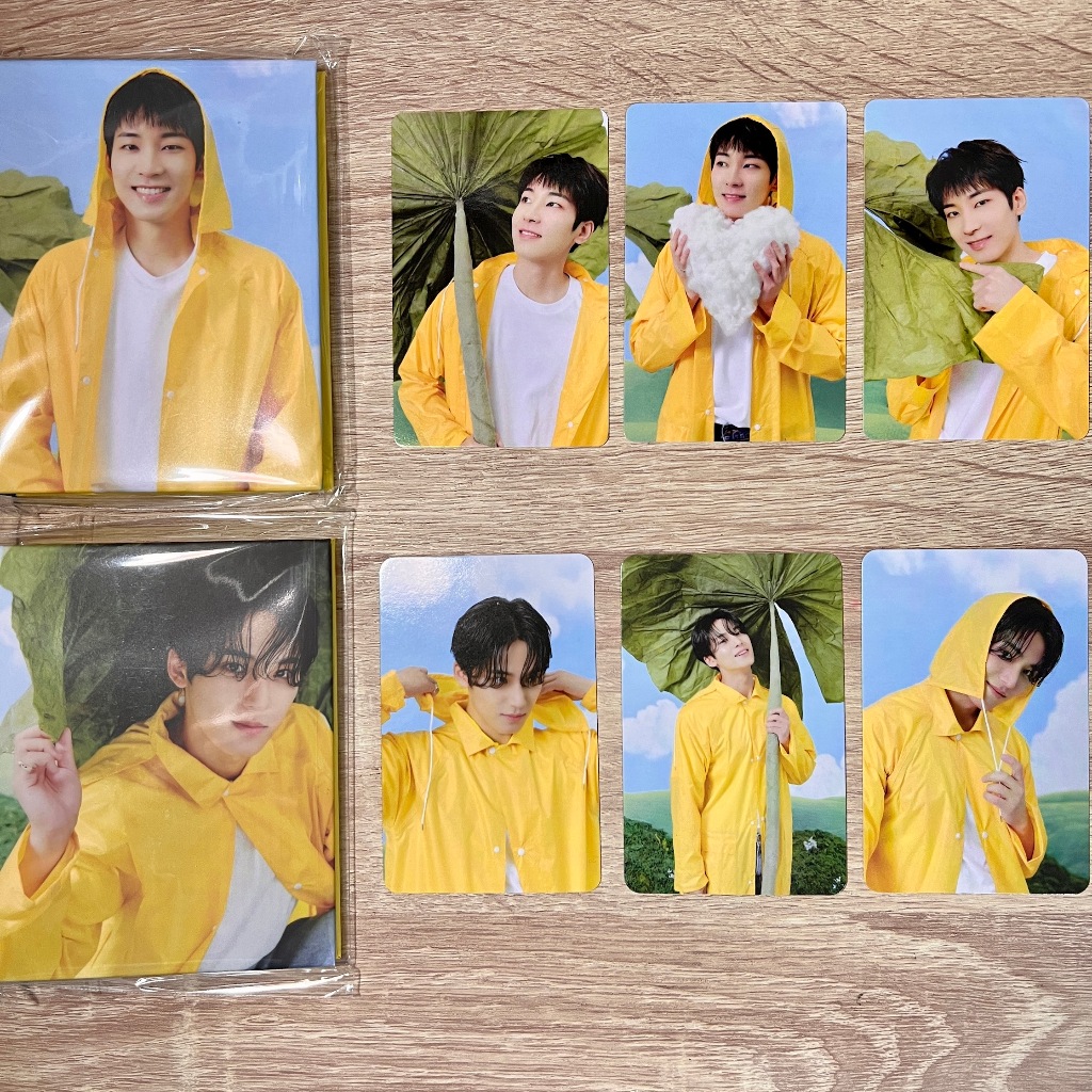 SEVENTEEN 'SEVENTEENTH HEAVEN' CARAT VERSION Official Photocards