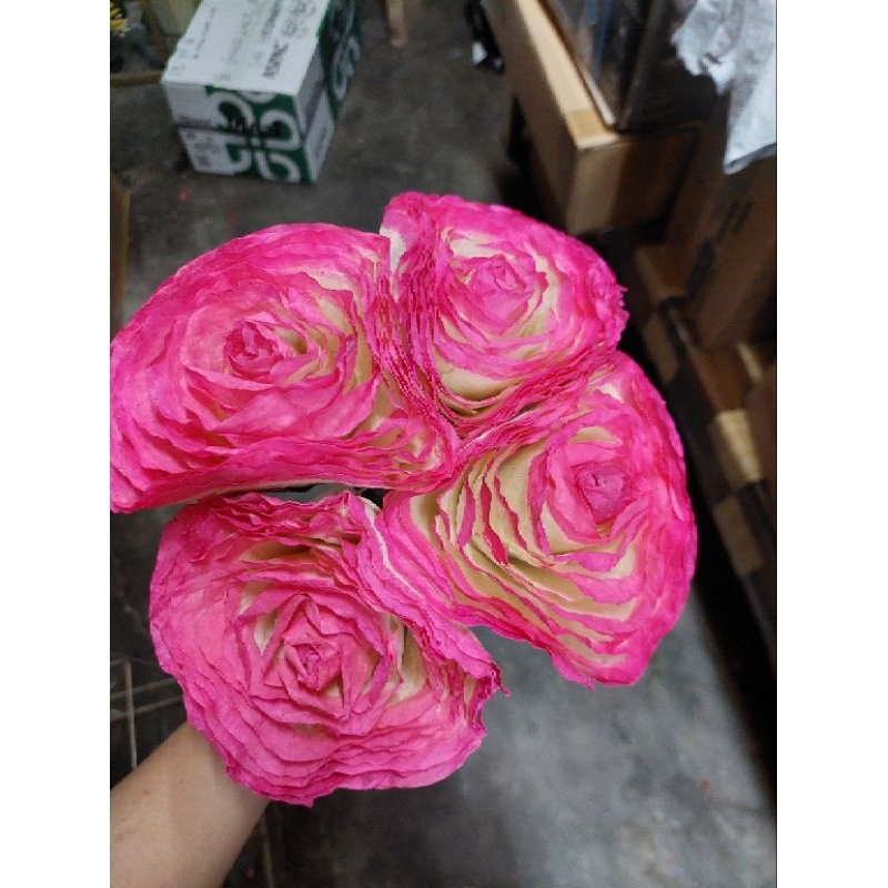 Dried Flower Fossilized Rose 2 colored Sold per 1 stem | Shopee Philippines