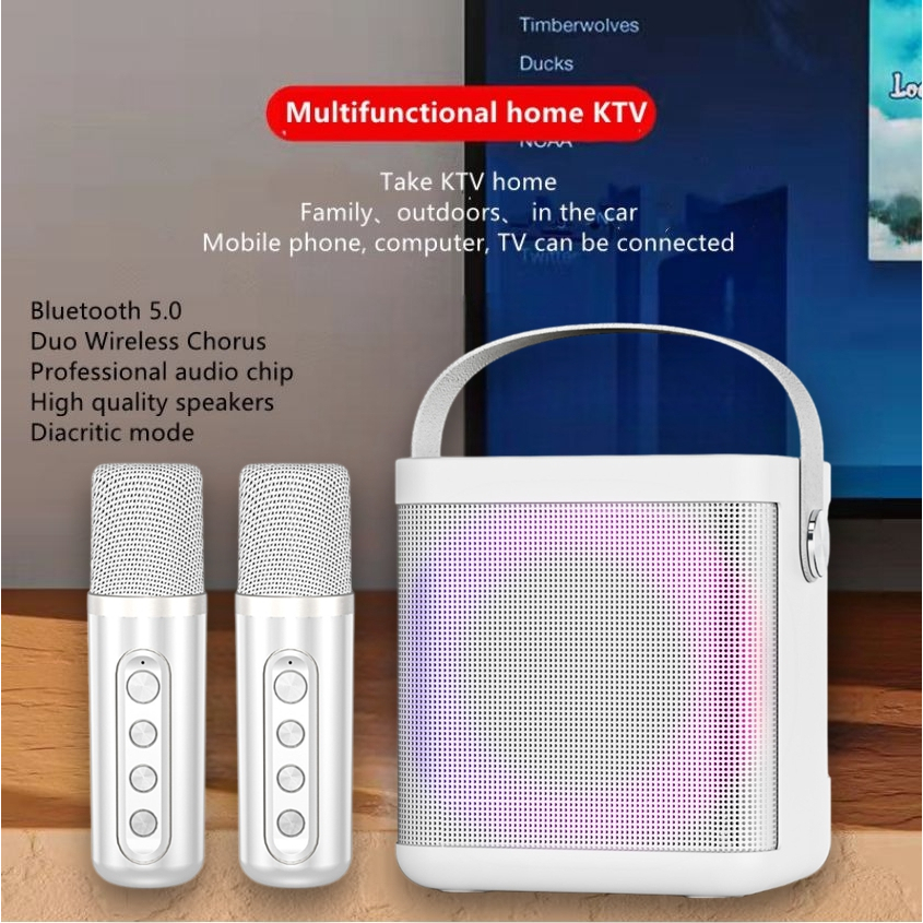 Ys307 Professional Karaoke Portable Wireless Bluetooth Speaker with