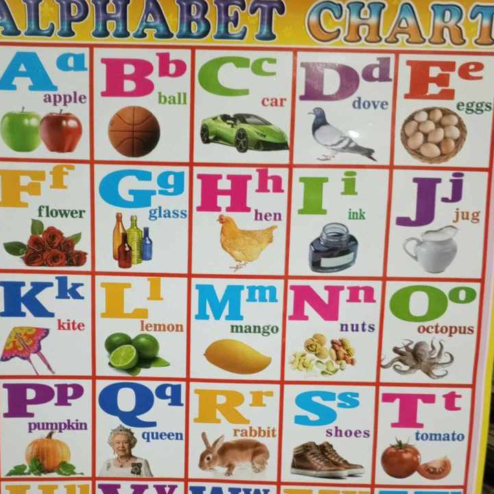 chart for kids alphaber numbers shape color (49x67cm) | Shopee Philippines