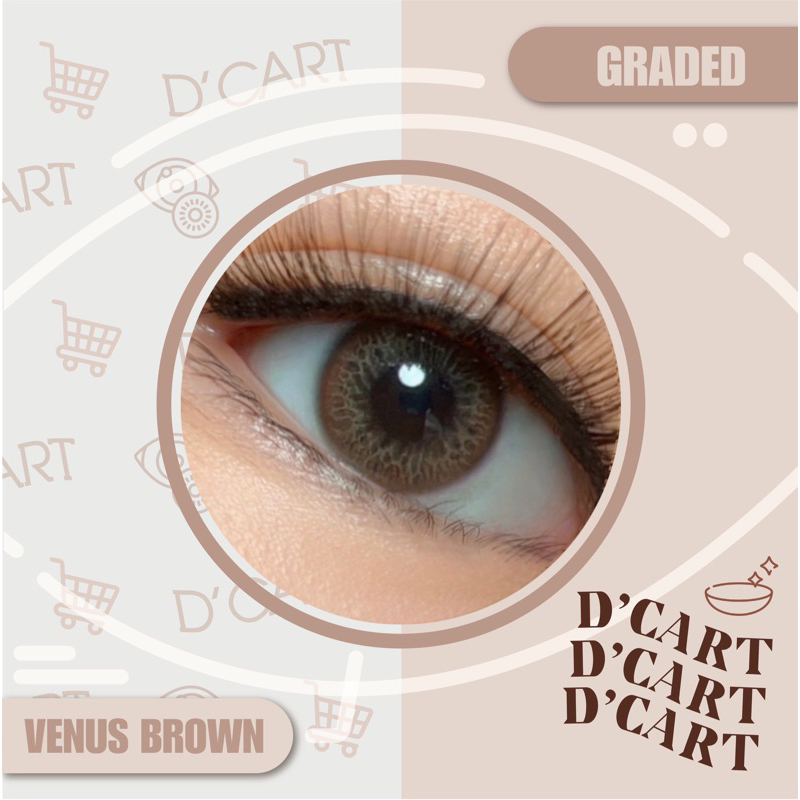 Venus Brown Graded Contact Lenses D'cartPh Shopee Philippines