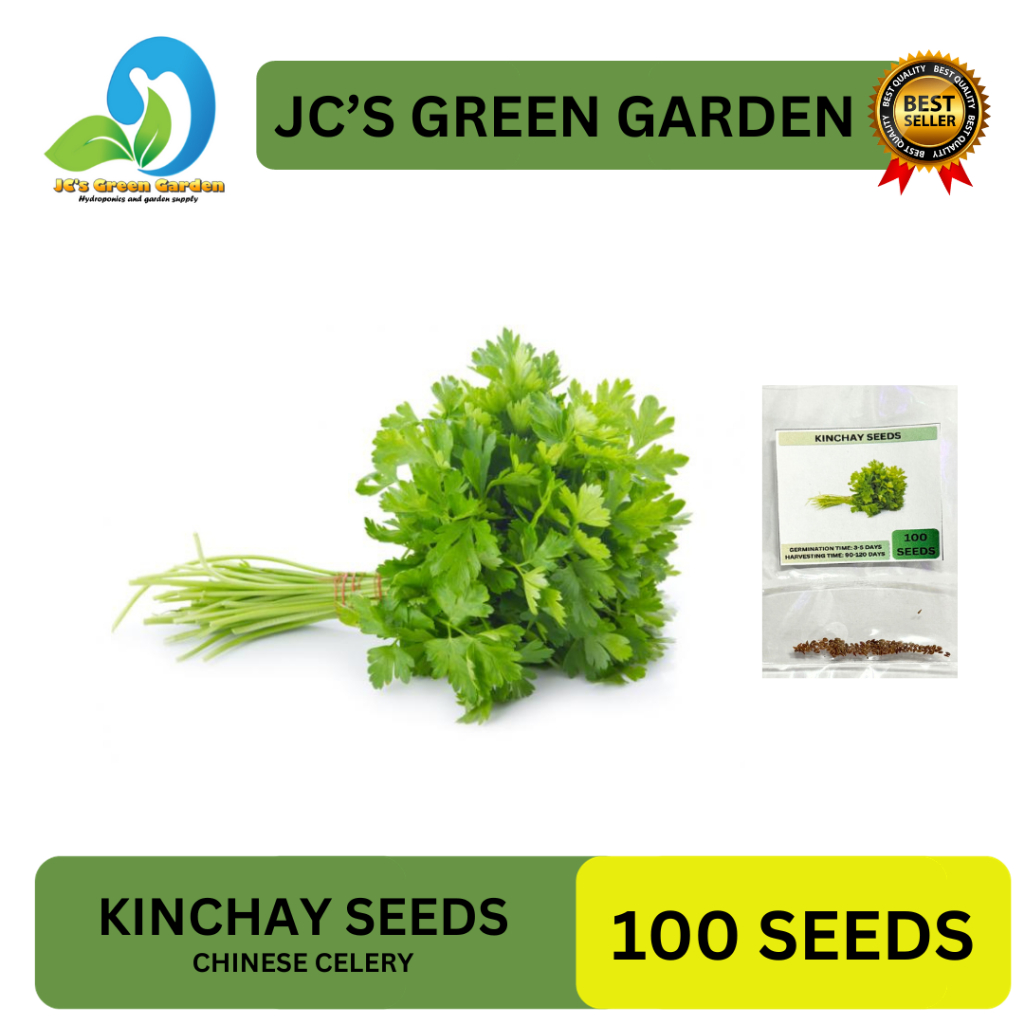 VALUE PACK (100 SEEDS) KINCHAY SEEDS/FORP PLANTING/CHINESE CELERY