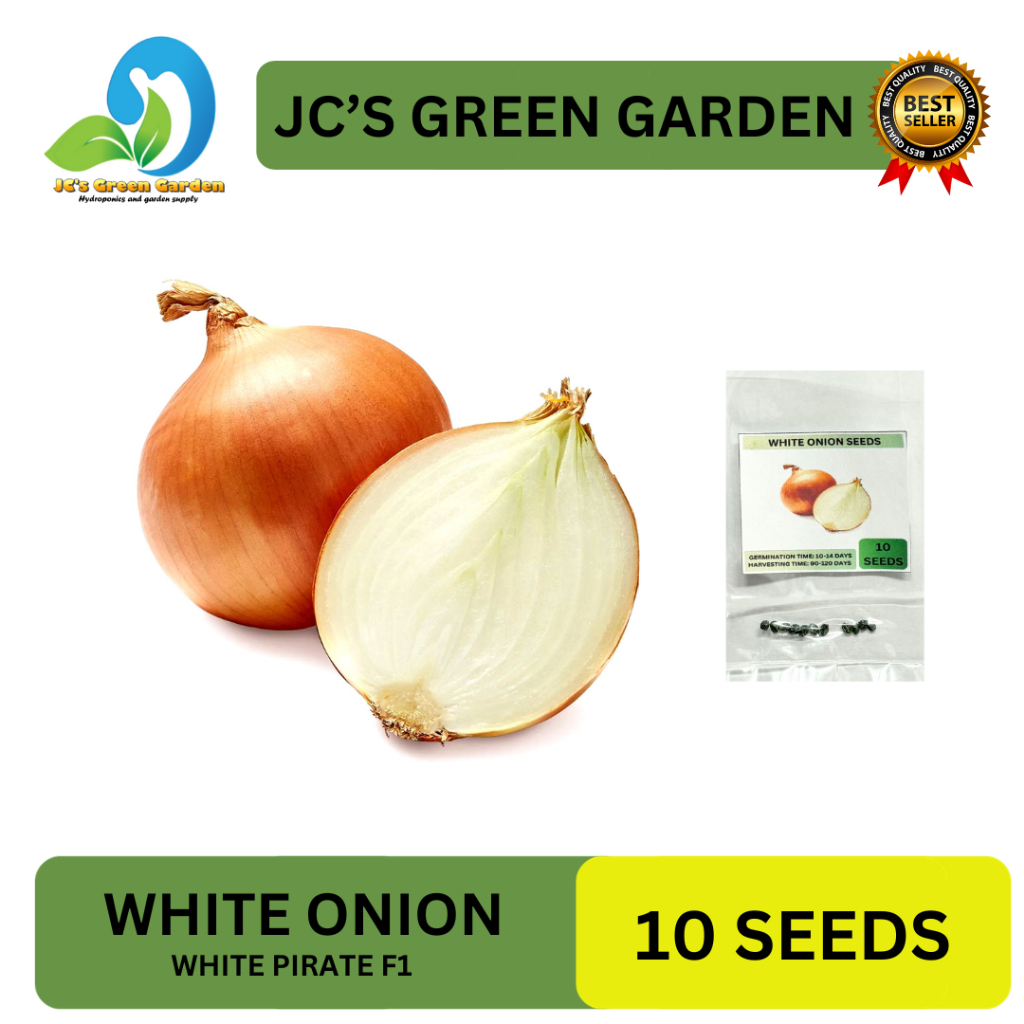 VALUE PACK (10 SEEDS) WHITE ONION SEEDS FOR PLANTING/FARMING