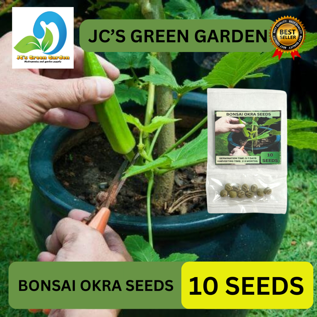 VALUE PACK (10 SEEDS) - BONSAI OKRA/FOR POT AND CONTAINER/HYBRID/EASY ...
