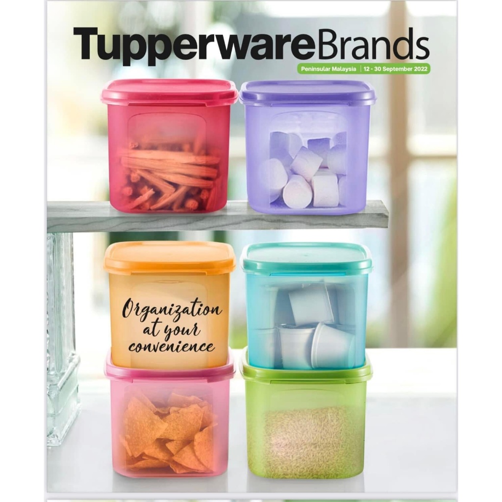Tupperware Brands Modular Mates Mini Rectangular #2 | Shopee Philippines