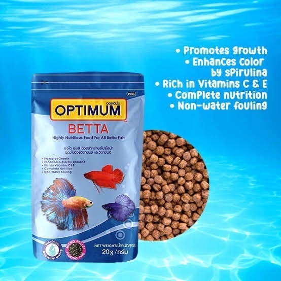 Betta fish food near hot sale me