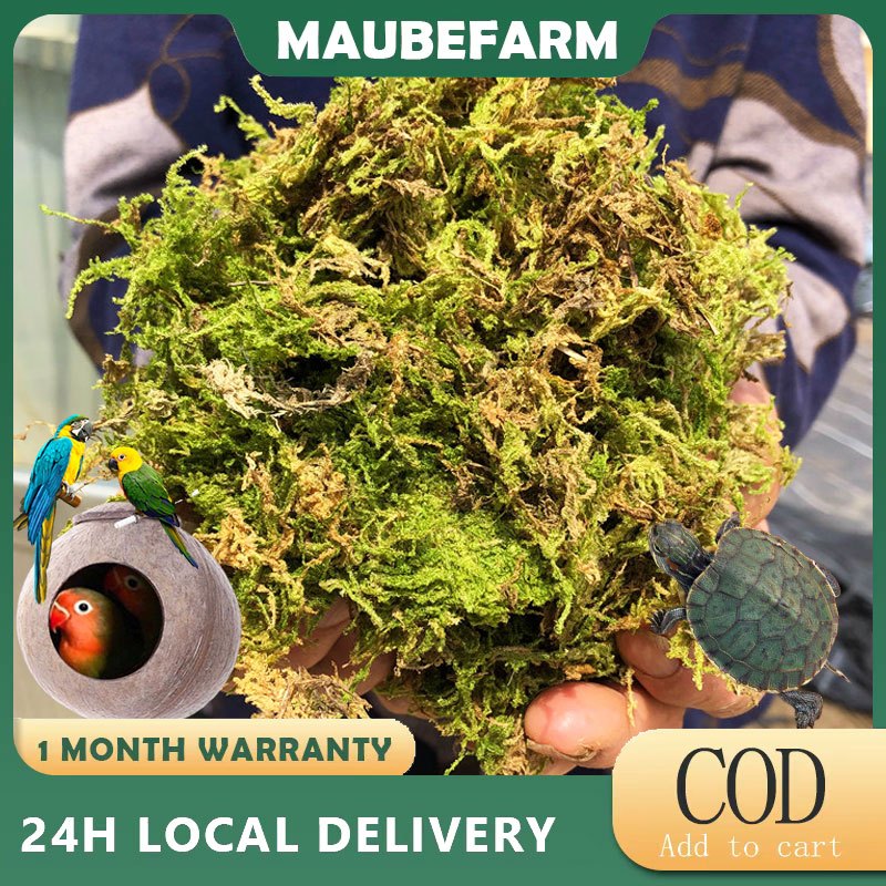 30/60/150g Dried Moss Litter Tarantula Bedding Substrate Spider Litter