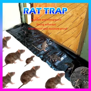 48 Pack Mouse Glue Traps Large Size Mouse Traps Sticky Pad with Enhanced  Stickiness Mouse Rat Sticky Traps Board for Rodent Cockroach and Other