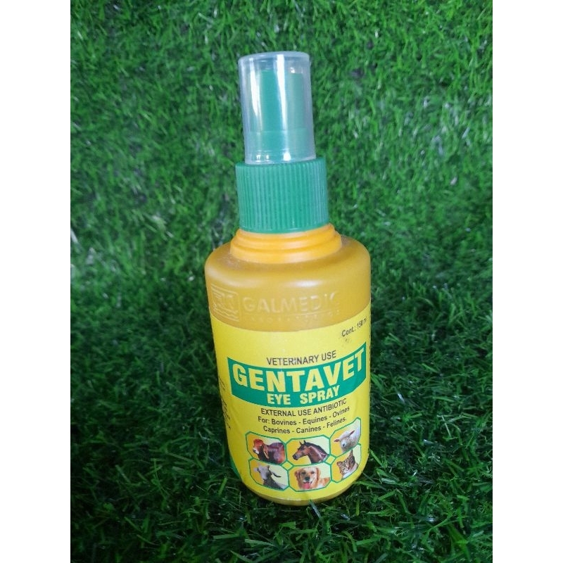 anti-biotic-spray-for-pink-eye-and-other-skin-infection-shopee