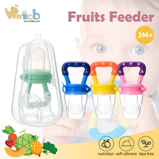 6pcs Fruit Feeder Pacifier Set, Silicone Mesh Bag Baby Food Feeder, Infant  Teething Toy, Food Supplement Storage Box