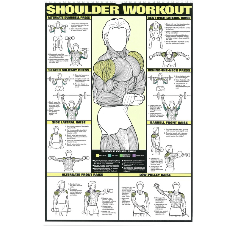 gym muscle core training exercise chart poster print wall decor ...