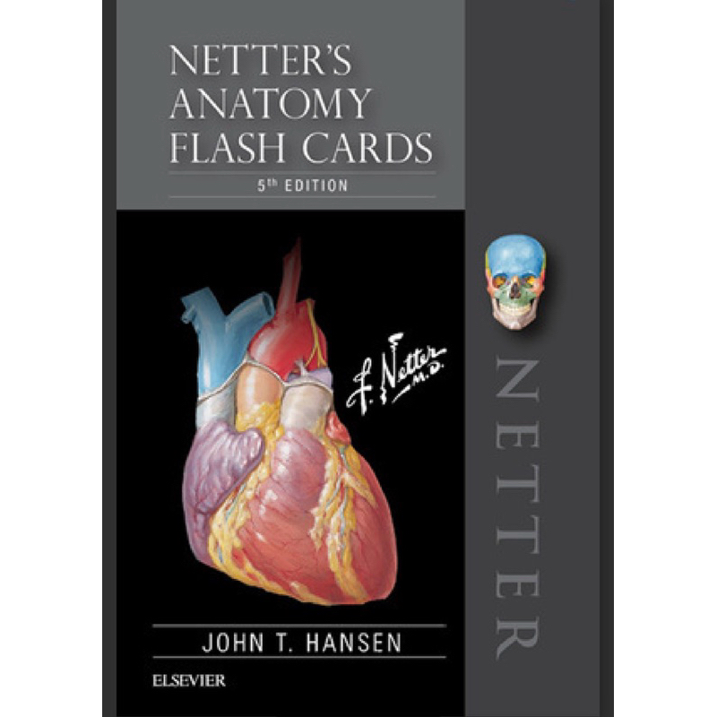NETTER ANATOMY FLASHCARD by HANSEN 5TH EDITION | Shopee Philippines