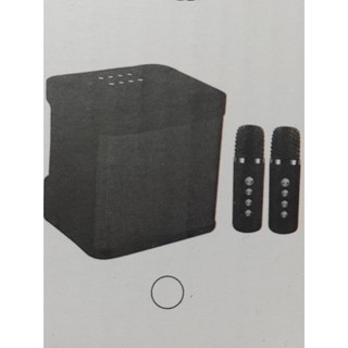 Speaker best sale wireless karaoke