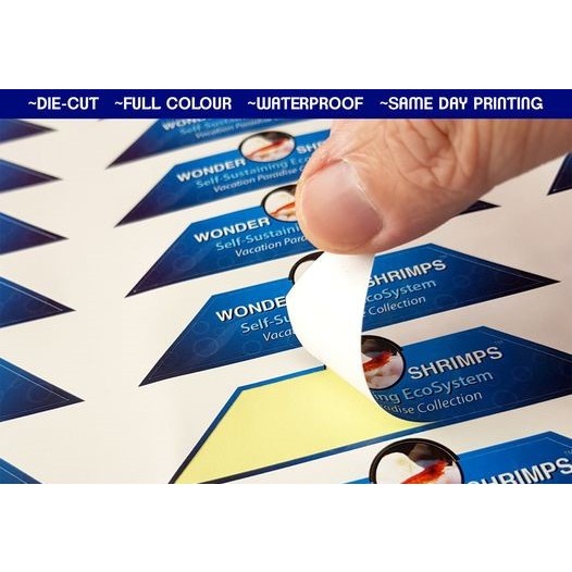 PISO STICKERS LABEL(MINIMUM 300PCS) | Shopee Philippines